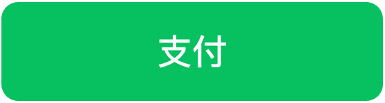 支付